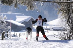 Lenk 2013